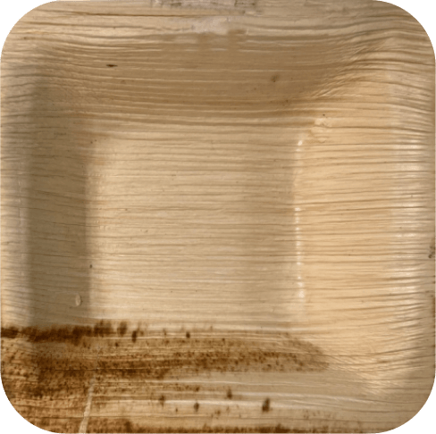 Arecanut palm leaf plates