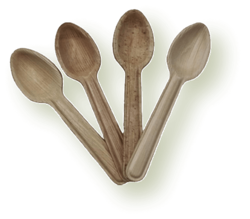 Arecanut palm leaf spoons